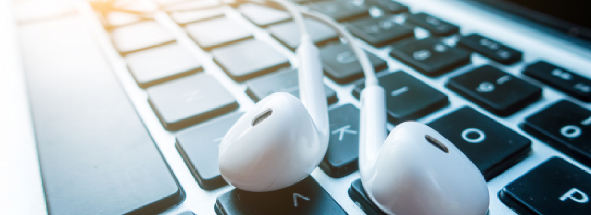 banner-lingua-impact-white