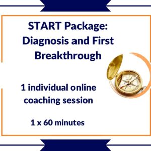 1 individual online coaching session