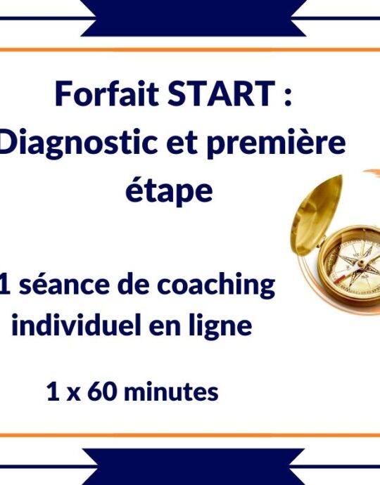 1 séance de coaching individuel en ligne