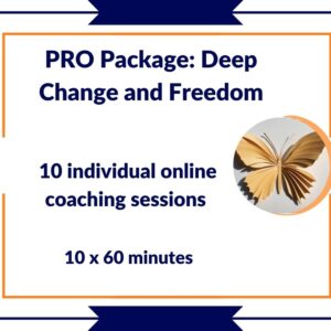 10 individual online coaching sessions